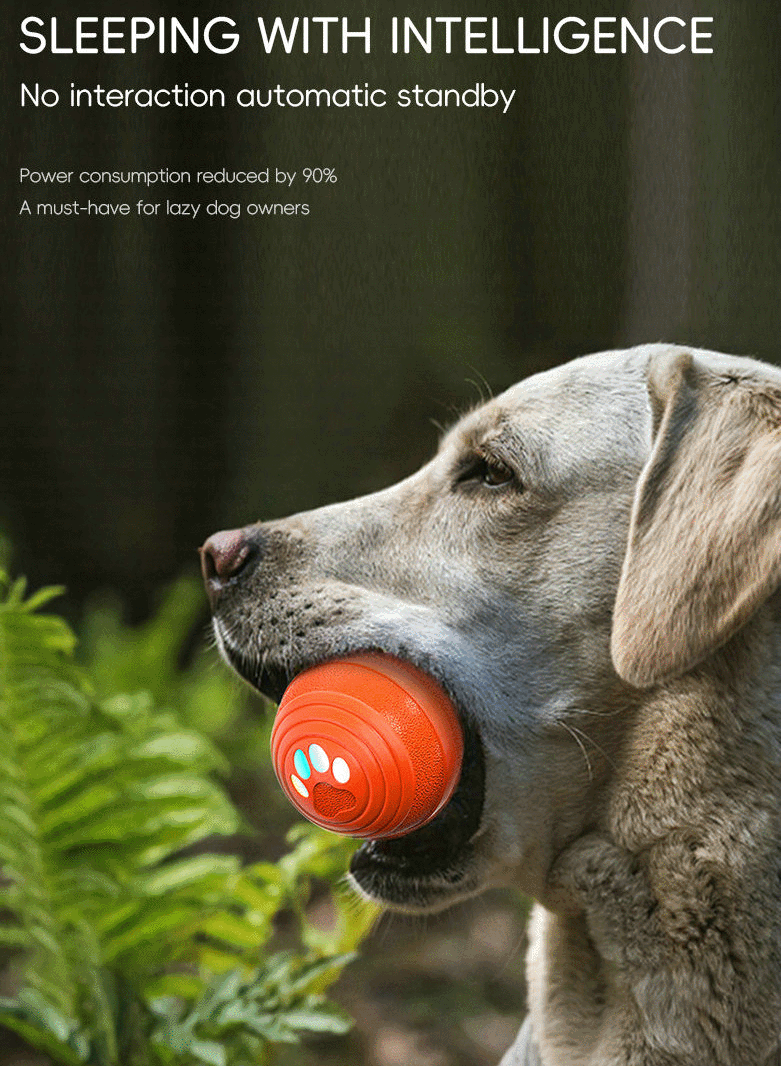 详情 英 拷贝-6.gif